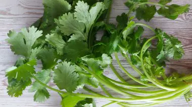 garnishing-instructions-image